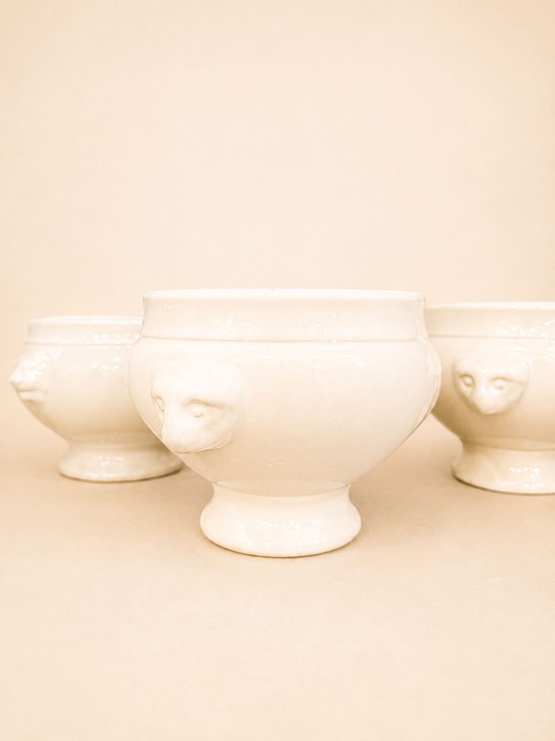 Vintage French Ironstone Tureen