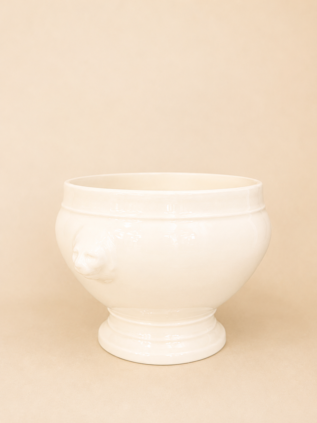 Vintage French Ironstone Tureen